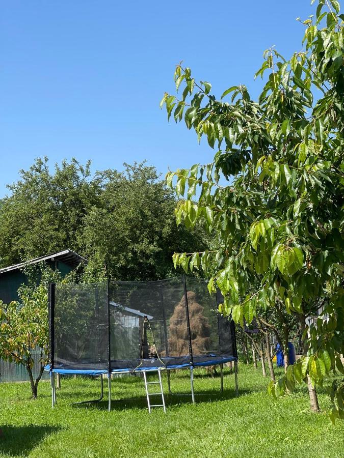 Pensiunea Colt De Rai Corbi Eksteriør bilde